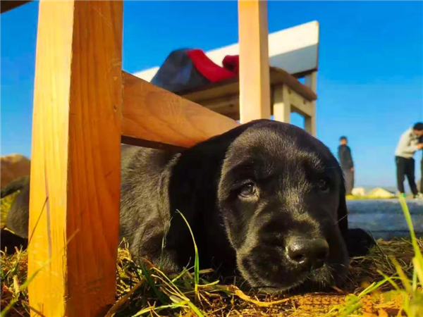 微信圖片_20210903145310