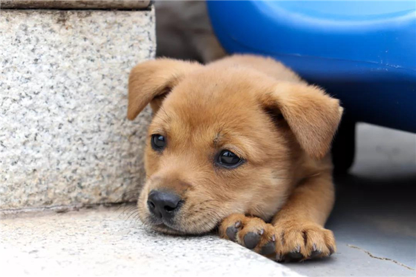 微信圖片_20210903145314