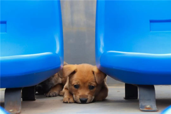 微信圖片_20210903145317