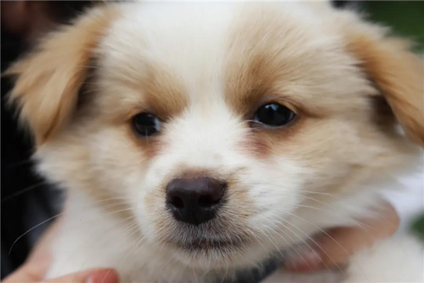 微信圖片_20210903145321