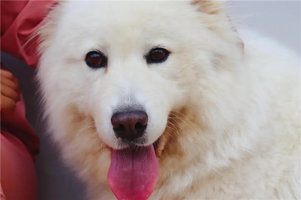 微信圖片_20210903145325