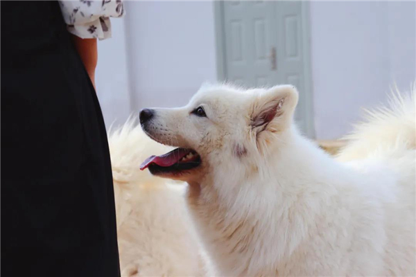 微信圖片_20210903145330