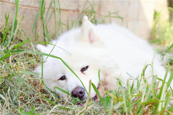 微信圖片_20210903145334