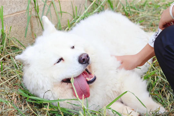 微信圖片_20210903145338