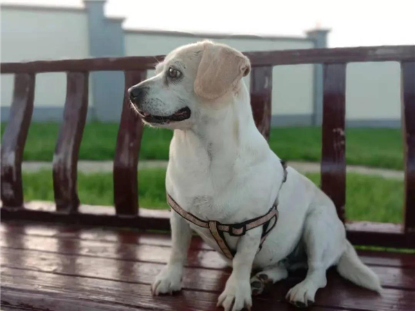 微信圖片_20210903145354