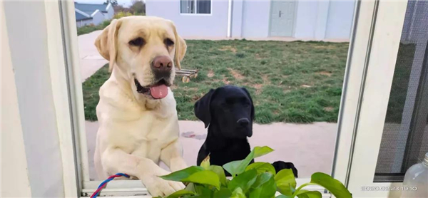 微信圖片_20210903145358