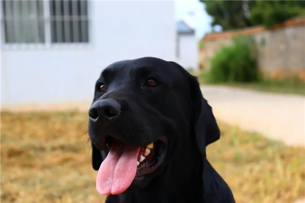 微信圖片_20210903145402