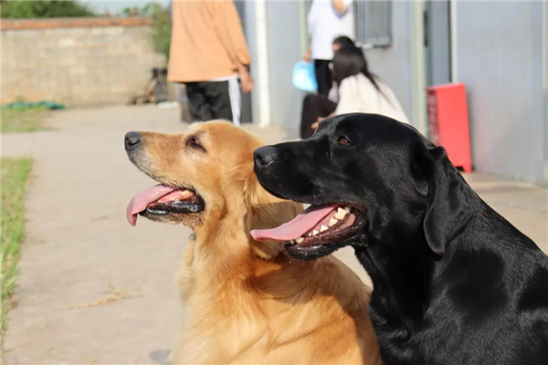 微信圖片_20210903145405