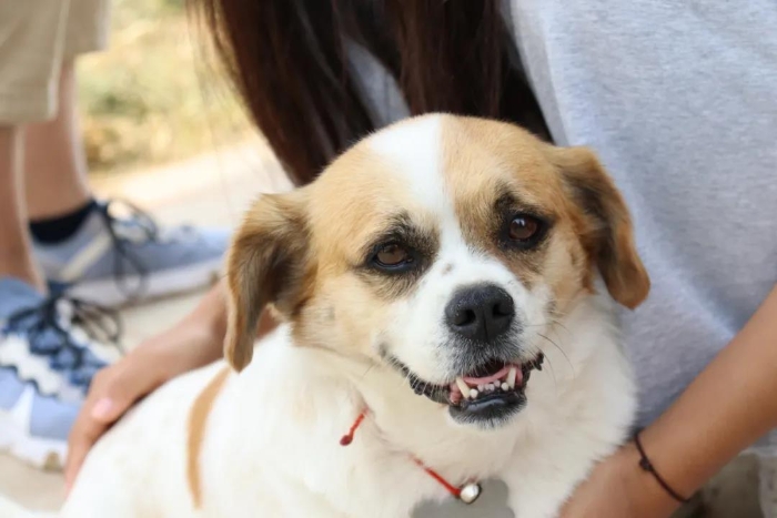 微信圖片_20210903145409