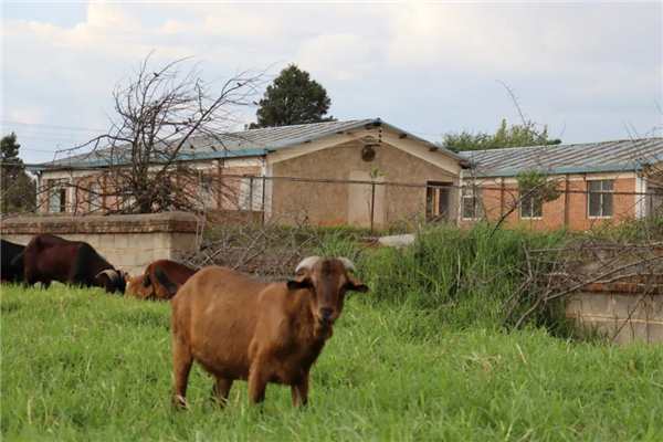 微信圖片_20210903145431