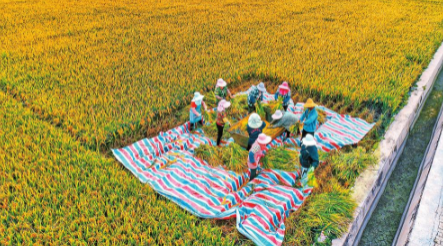 QQ截圖20210906080001