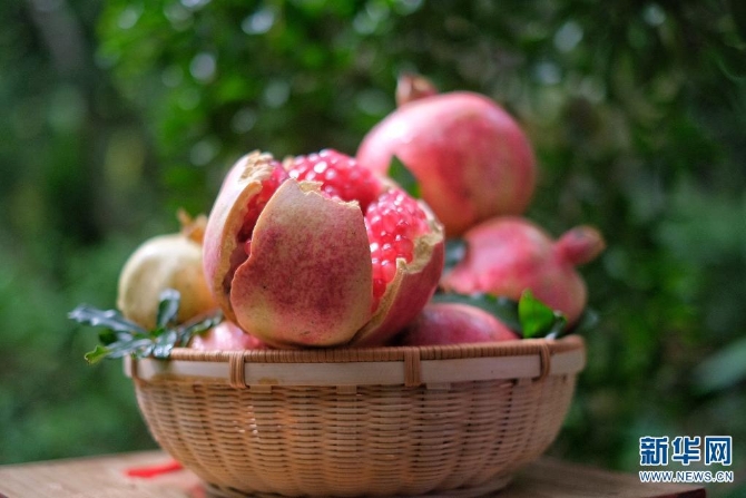 1310167850_16308626952991n