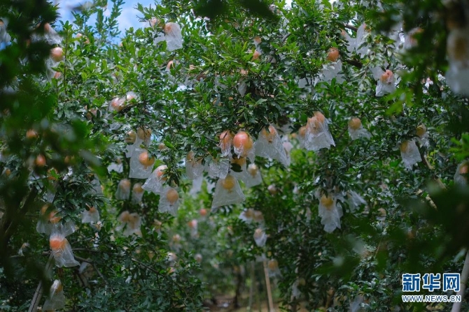 1310167850_16308626956841n