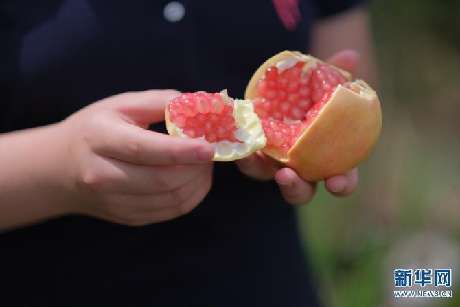 1310167850_16308626958271n