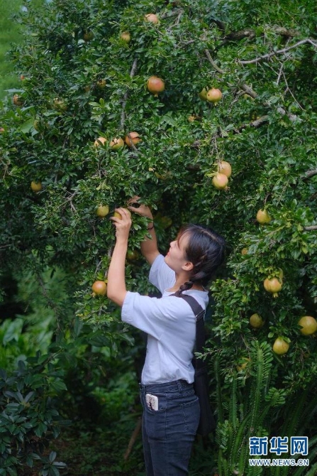 1310167850_16308626959391n