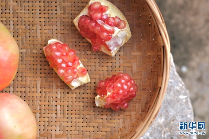 1310167850_16308626960061n