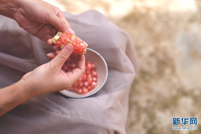 1310167850_16308626960651n