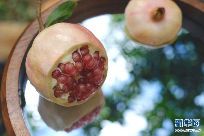 1310167850_16308626963141n