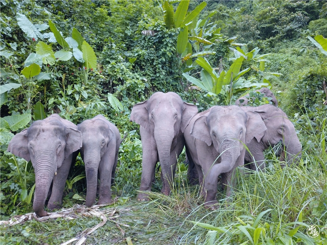 微信圖片_20210906170430.jpg 微信圖片_20210906170430.jpg