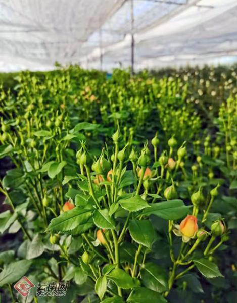 00304155602_3f064baa 00304155602_3f064baa