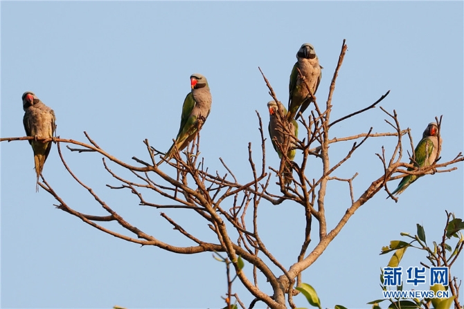 1310172948_16309871878441n 1310172948_16309871878441n