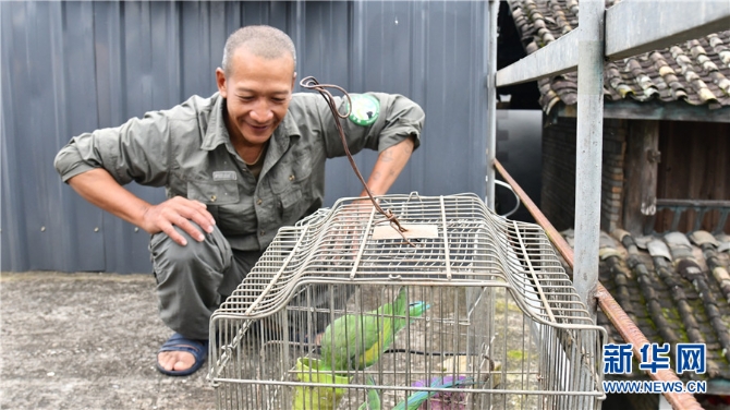 1310172948_16309871879671n 1310172948_16309871879671n