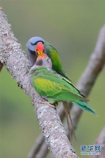 1310172948_16309871880741n 1310172948_16309871880741n