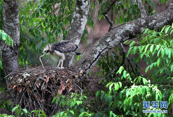 1310172948_16309871883381n 1310172948_16309871883381n