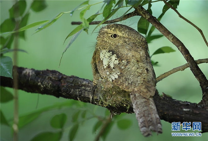 1310172948_16309871885101n 1310172948_16309871885101n