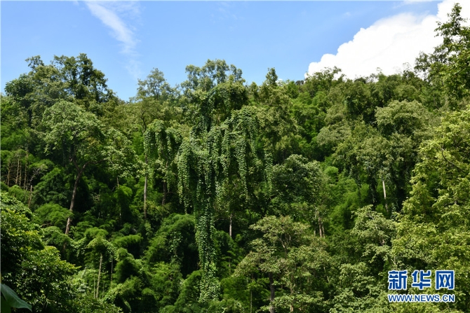 1310172948_16309871886361n 1310172948_16309871886361n