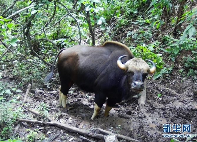 1310172948_16309871888141n 1310172948_16309871888141n