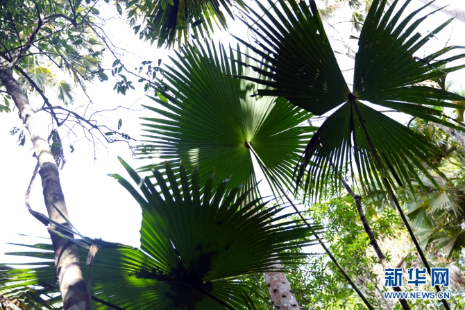 1310172948_16309871889651n 1310172948_16309871889651n