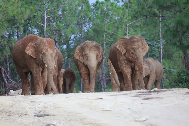 20210908192633NG80DW