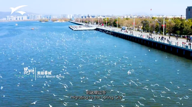 微信圖片_20210911011712