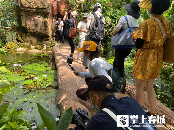 JTS6hQPGFs JTS6hQPGFs