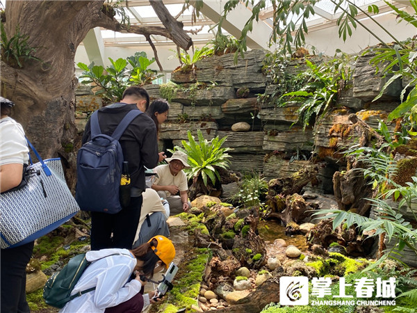 mnZkNZh4Ea mnZkNZh4Ea