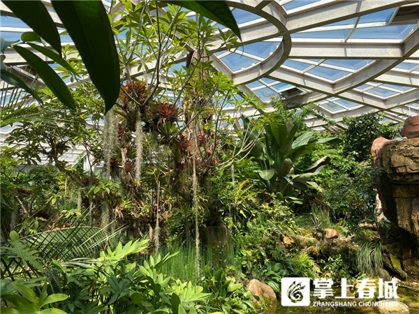 A2sSAnN4R7 A2sSAnN4R7