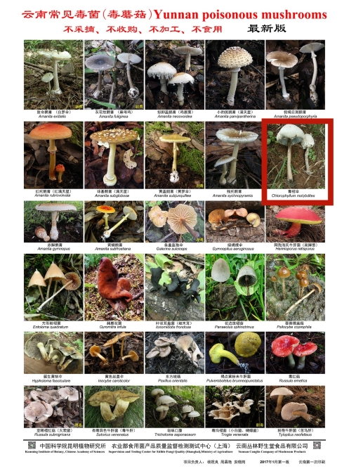 夫妻倆吃完進(jìn)了搶救室