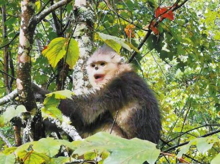 微信截圖_20210914093239