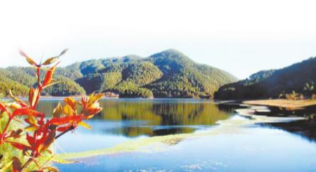 微信截圖_20210914093247