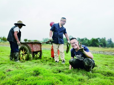 銜一片鄉(xiāng)心還巢——重返鄉(xiāng)村的創(chuàng)業(yè)青年 銜一片鄉(xiāng)心還巢——重返鄉(xiāng)村的創(chuàng)業(yè)青年