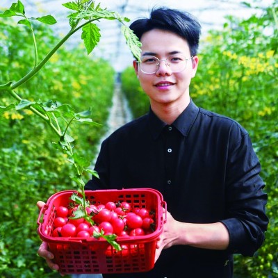 把父輩的土地種上“云端” 把父輩的土地種上“云端”