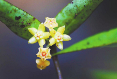 微信截圖_20210915093309 微信截圖_20210915093309