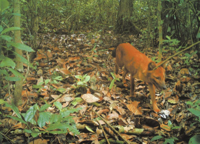 微信截圖_20210915093426 微信截圖_20210915093426