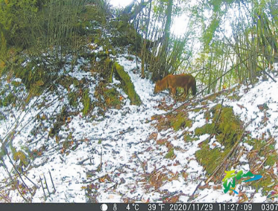 微信截圖_20210915093432 微信截圖_20210915093432