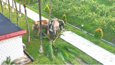 微信截圖_20210915094157