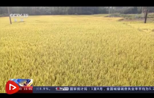 微信截圖_20210916101542