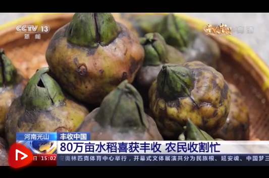 微信截圖_20210916101554