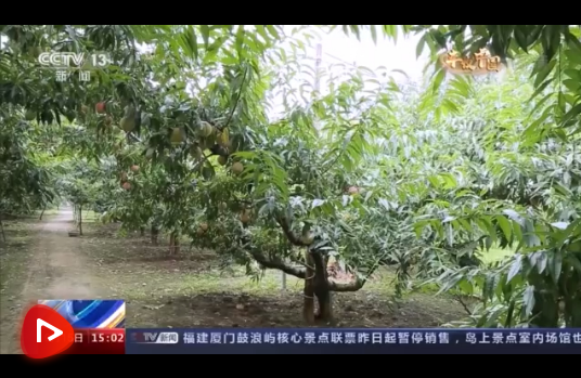 微信截圖_20210916101601