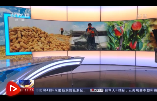 微信截圖_20210916101625